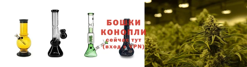 где купить   Истра  Бошки марихуана OG Kush 